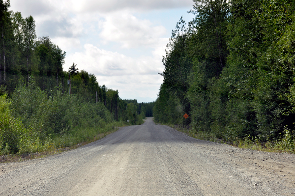 dirt road leading to Talkeetna Denali View Lodge